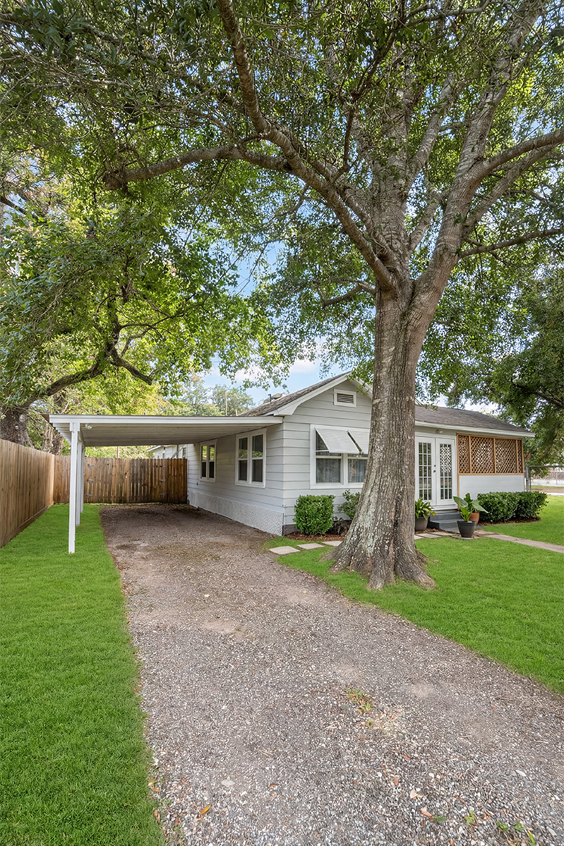 Backyard after lush grass replacement